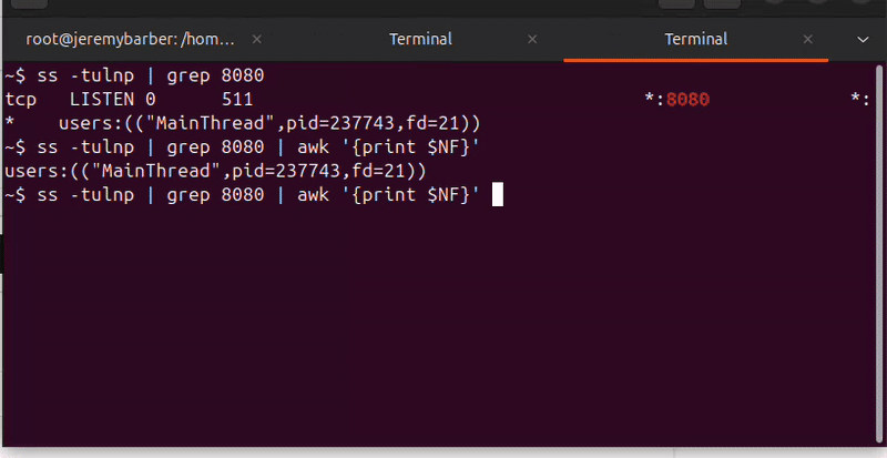 Freeing Up a Stuck Port in Linux Using SS and Kill
